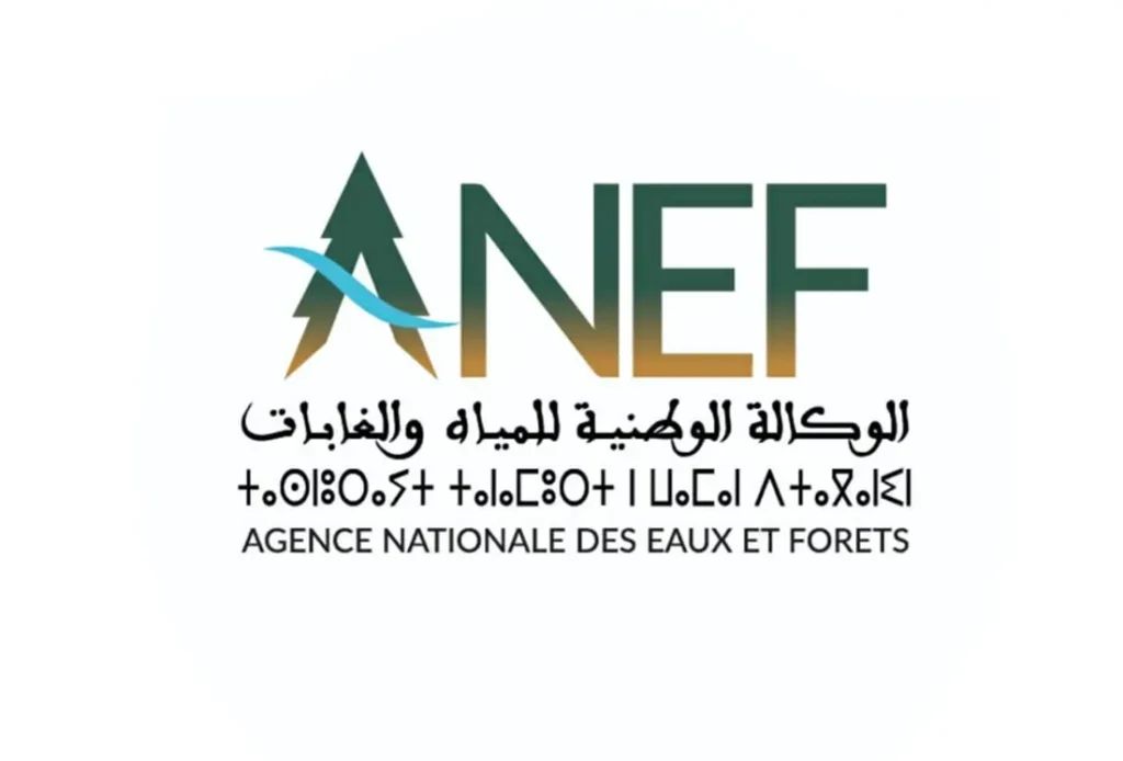 الوكالة الوطنية للمياه والغابات: مباراة توظيف