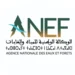 الوكالة الوطنية للمياه والغابات: مباراة توظيف