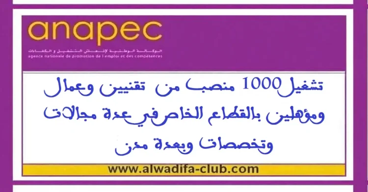 أنابيك: توظيف 1000 منصب جديد للتقنيين والعمال والمؤهلين في القطاع الخاص بعدة مدن