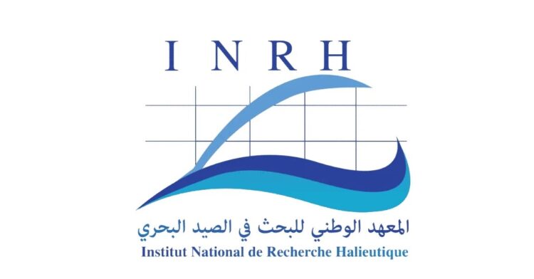 المعهد الوطني للبحث في الصيد البحري: مباريات توظيف 15 منصبا. آخر أجل 2 دجنبر 2025