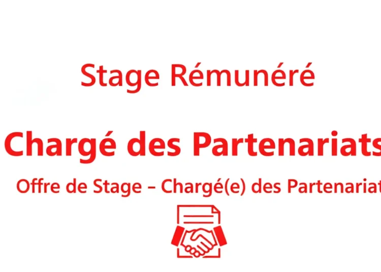 Offre de Stage – Chargé(e) des Partenariats