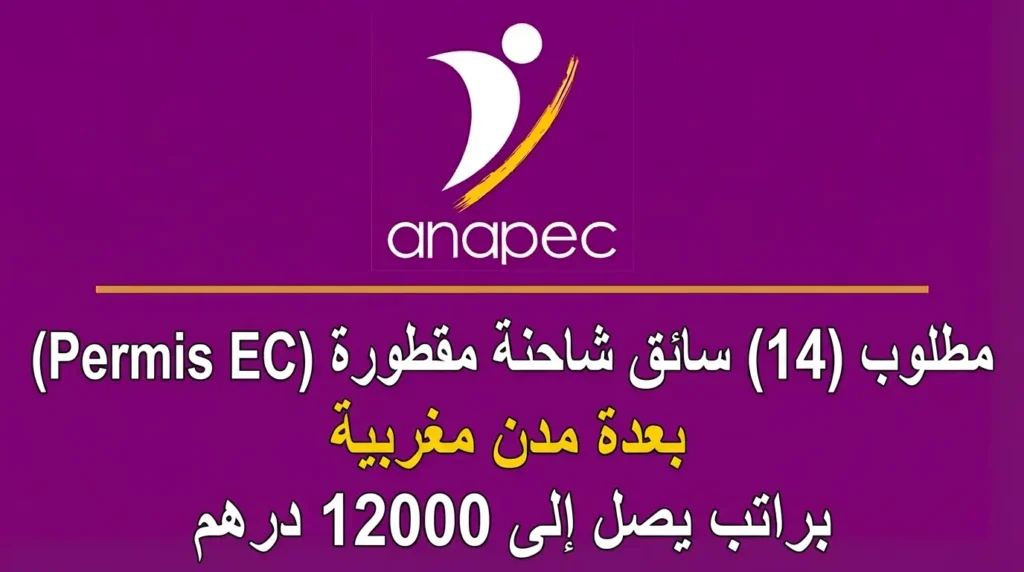 أنابيك مطلوب (14) سائق شاحنة مقطورة (Permis EC) بعدة مدن مغربية براتب يصل إلى 12000 درهم
