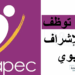 أنابيك: توظيف 30 إطارًا للإشراف التربوي بمدينة الدار البيضاء