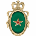القوات البرية المغربية