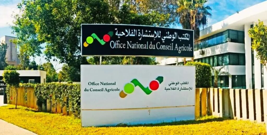 مباراة توظيف بالمكتب الوطني للاستشارة الفلاحية 2026