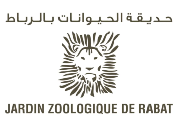 شركة حديقة الحيوانات بالرباط: مباراة توظيف 6 مناصب. آخر أجل 01 يوليوز 2026