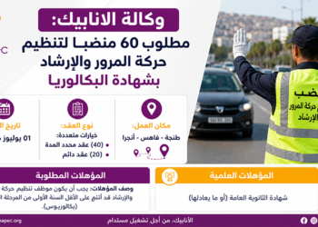 أنابيك : توظيف 60 منصب لتنظيم حركة المرور والإرشاد بطنجة